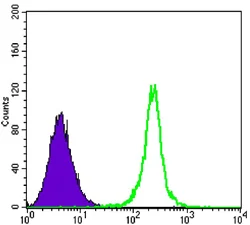 Flow Cytometry - Anti-SIRT1 antibody [1F3] - Nuclear Marker (AB104833)