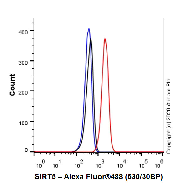 Flow Cytometry (Intracellular) - Anti-SIRT5 antibody [EPR23787-116] - BSA and Azide free (ab275031), expandable thumbnail