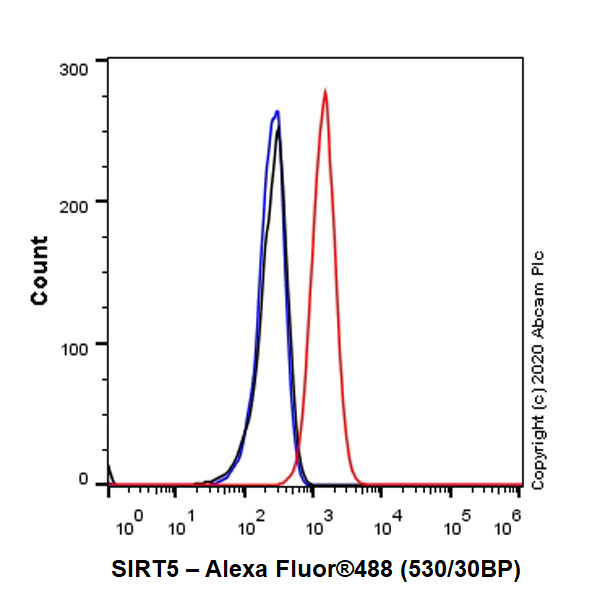 Flow Cytometry (Intracellular) - Anti-SIRT5 antibody [EPR23787-116] - BSA and Azide free (ab275031), expandable thumbnail