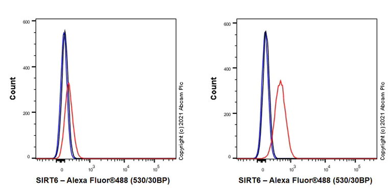 Flow Cytometry (Intracellular) - Anti-SIRT6 antibody [EPR26255-85] (AB289970)