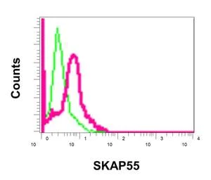 Flow Cytometry (Intracellular) - Anti-SKAP55 antibody [EPR11360] - BSA and Azide free (AB249562)