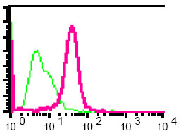 Flow Cytometry (Intracellular) - Anti-Skp1 antibody [EPR3303] (AB80586), expandable thumbnail