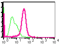 Flow Cytometry (Intracellular) - Anti-Skp1 antibody [EPR3303] - BSA and Azide free (AB247511)