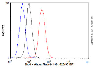 Flow Cytometry (Intracellular) - Anti-Skp1 antibody [EPR3304] (AB76502), expandable thumbnail