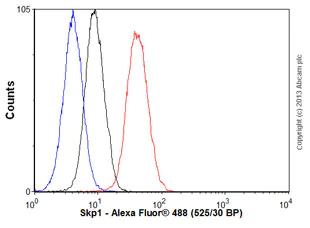 Flow Cytometry (Intracellular) - Anti-Skp1 antibody [EPR3304] - BSA and Azide free (AB247484)