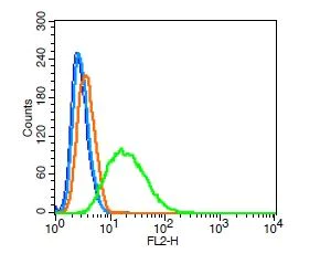 Flow Cytometry (Intracellular) - Anti-SKP2 antibody (AB216687)