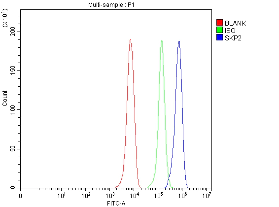 Flow Cytometry - Anti-SKP2 antibody (AB68455)