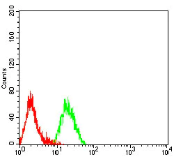 Flow Cytometry - Anti-SLAMF7/CS1 antibody [5G5A4] (AB233779)