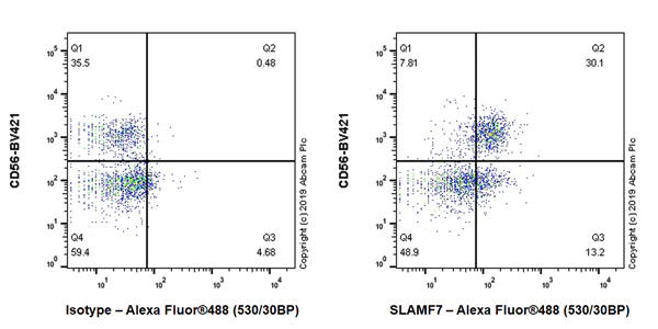 Flow Cytometry - Anti-SLAMF7/CS1 antibody [EPR22948-114] - BSA and Azide free (AB256529)