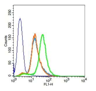Flow Cytometry - Anti-SLC15A1/PEPT1 antibody (AB203043)
