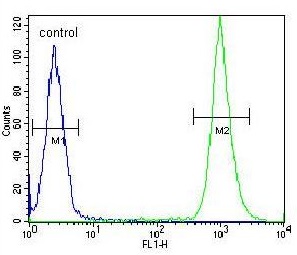 Flow Cytometry (Intracellular) - Anti-SLC16A11 antibody (AB230845)