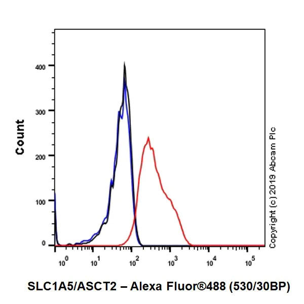 Flow Cytometry (Intracellular) - Anti-SLC1A5/ASCT2 antibody [CAL33] (AB237704)