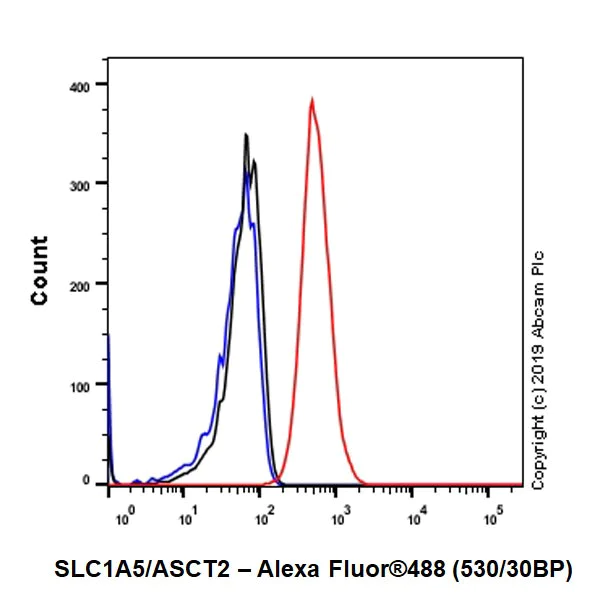 Flow Cytometry (Intracellular) - Anti-SLC1A5/ASCT2 antibody [CAL33] (AB237704)