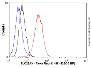 Flow Cytometry (Intracellular) - Anti-SLC22A3/OCT3 antibody [EPR6630] - BSA and Azide free (AB248023)