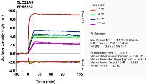 OI-RD Scanning - Anti-SLC22A3/OCT3 antibody [EPR6630] - BSA and Azide free (AB248023)