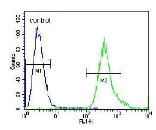 Flow Cytometry (Intracellular) - Anti-SLC25A6 antibody (AB230545)