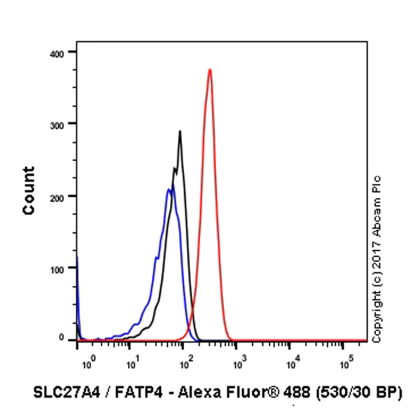 Flow Cytometry (Intracellular) - Anti-SLC27A4 / FATP4 antibody [EPR17319-26] (AB200353)