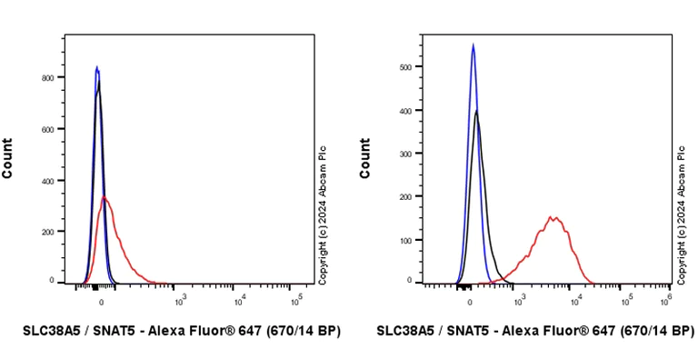 Flow Cytometry - Anti-SLC38A5 / SNAT5 antibody [EPR27109-86] - BSA and Azide free (AB317686)