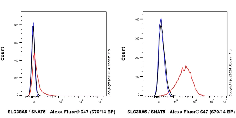 Flow Cytometry - Anti-SLC38A5 / SNAT5 antibody [EPR27109-86] - BSA and Azide free (AB317686)