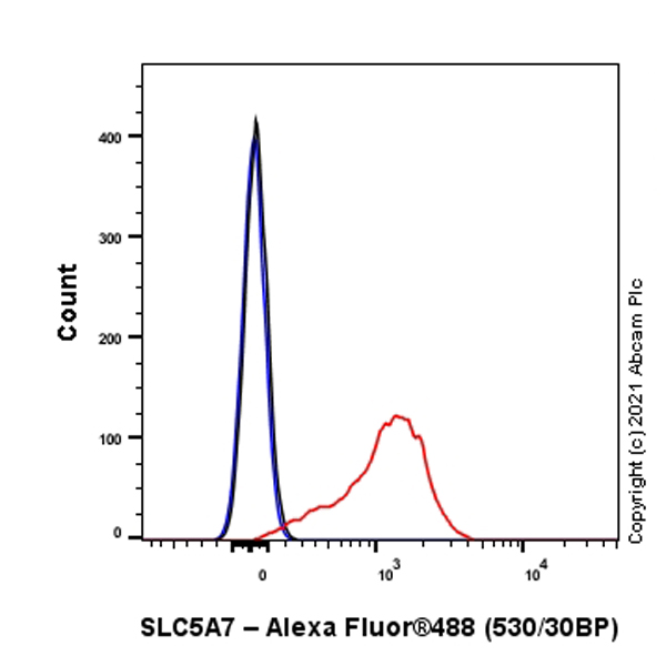 Flow Cytometry (Intracellular) - Anti-SLC5A7 antibody [EPR25152-16] (AB289635)