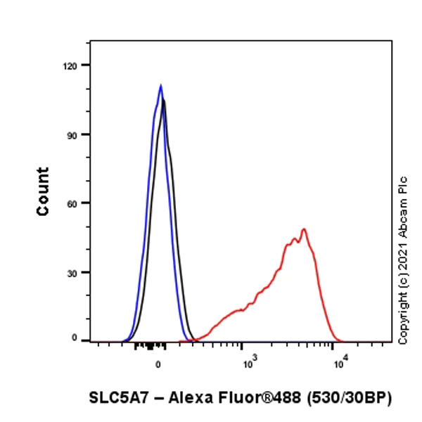 Flow Cytometry (Intracellular) - Anti-SLC5A7 antibody [EPR25152-16] (AB289635)