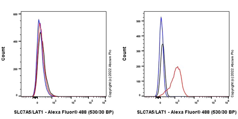 Flow Cytometry (Intracellular) - Anti-SLC7A5/LAT1 antibody [EPR26260-66] - BSA and Azide free (AB305252)