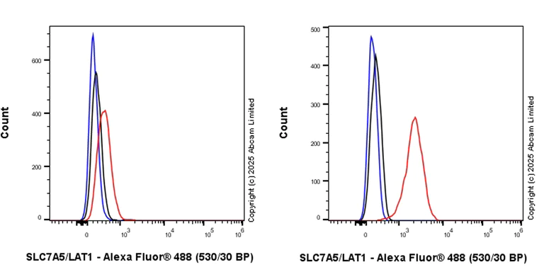 Flow Cytometry - Anti-SLC7A5/LAT1 antibody [EPR29892-591] (AB324354)