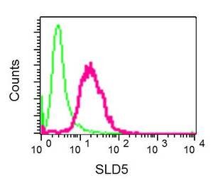 Flow Cytometry (Intracellular) - Anti-SLD5 antibody [EPR9318] - BSA and Azide free (AB248880)