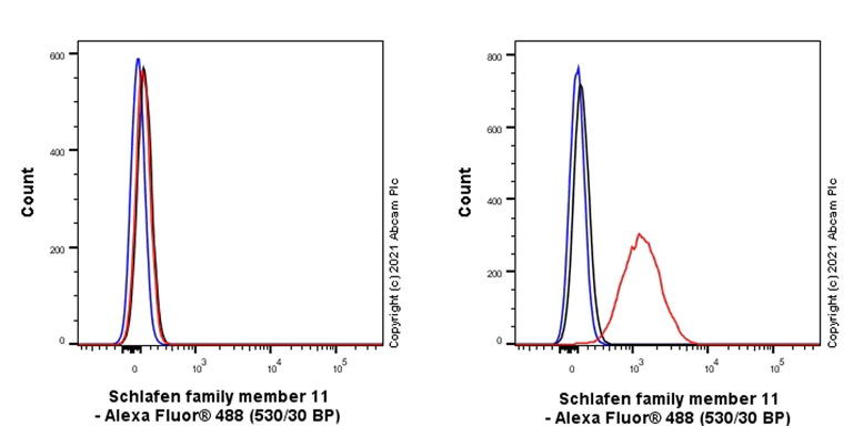 Flow Cytometry (Intracellular) - Anti-SLFN11 antibody [EPR24414-87] - BSA and Azide free (AB283232)