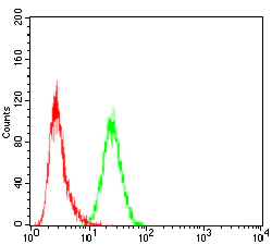 Flow Cytometry - Anti-Slingshot homolog 1/SSH1 antibody [6C11G9] (AB204945)