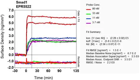OI-RD Scanning - Anti-Smad1 antibody [EPR5522] (AB126761)