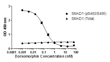 Sandwich ELISA - SMAD1 (pS463/465) ELISA Kit (AB186036), expandable thumbnail