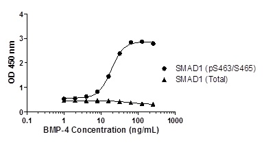 Sandwich ELISA - SMAD1 (pS463/465) ELISA Kit (AB186036), expandable thumbnail
