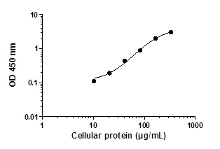 Sandwich ELISA - SMAD1 (pS463/465) ELISA Kit (AB186036)