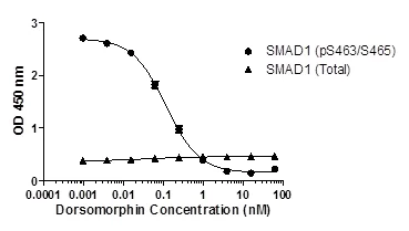 Sandwich ELISA - SMAD1 (pS463/S465 + Total SMAD1) ELISA Kit (AB186035)