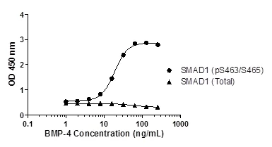 Sandwich ELISA - SMAD1 (pS463/S465 + Total SMAD1) ELISA Kit (AB186035)