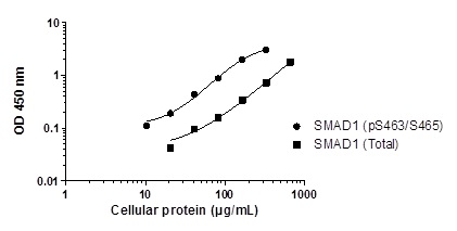 Sandwich ELISA - SMAD1 (pS463/S465 + Total SMAD1) ELISA Kit (AB186035), expandable thumbnail
