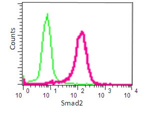 Flow Cytometry (Intracellular) - Anti-Smad2 antibody [EP567Y] - BSA and Azide free (AB216454), expandable thumbnail