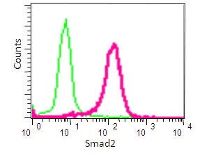 Flow Cytometry (Intracellular) - Anti-Smad2 antibody [EP567Y] - BSA and Azide free (AB216454)