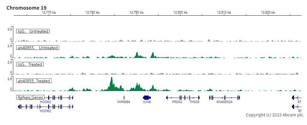 ChIC/CUT&RUN sequencing - Anti-Smad2 antibody [EP784Y] (ab40855), expandable thumbnail