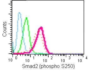 Flow Cytometry (Intracellular) - Anti-Smad2 (phospho S250) antibody [EPR2855(2)] - BSA and Azide free (AB230098)