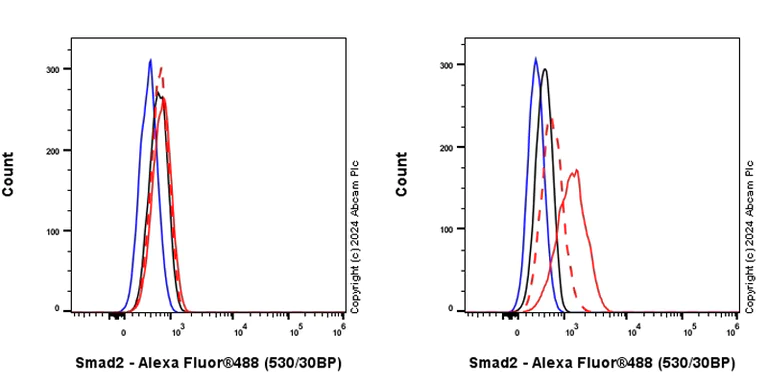 Flow Cytometry (Intracellular) - Anti-Smad2 (phospho S465 + S467) antibody [EPR28610-44] - BSA and Azide free (AB316118)