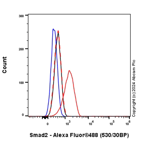 Flow Cytometry (Intracellular) - Anti-Smad2 (phospho S465 + S467) antibody [EPR28610-44] - BSA and Azide free (AB316118)
