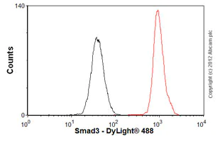 Flow Cytometry (Intracellular) - Anti-Smad3 antibody [EP568Y] (AB40854)