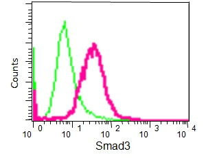 Flow Cytometry (Intracellular) - Anti-Smad3 antibody [EP568Y] - BSA and Azide free (AB157372)