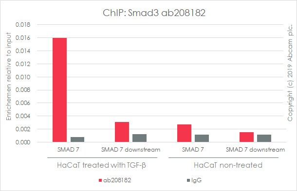 ChIP - Anti-Smad3 antibody [EPR19686] - BSA and Azide free (AB251490), expandable thumbnail