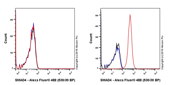 Flow Cytometry (Intracellular) - Anti-Smad4 antibody [EPR22589-112] (AB230815), expandable thumbnail