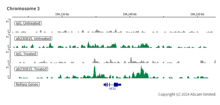 ChIC/CUT&RUN sequencing - Anti-Smad4 antibody [EPR22589-112] - BSA and Azide free (AB254290)