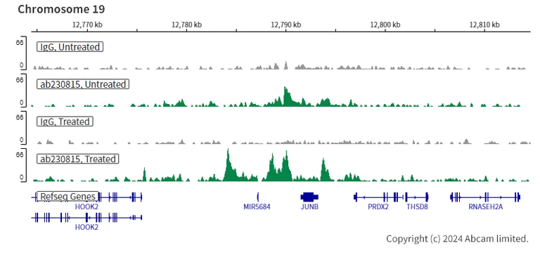 ChIC/CUT&RUN sequencing - Anti-Smad4 antibody [EPR22589-112] - BSA and Azide free (AB254290)