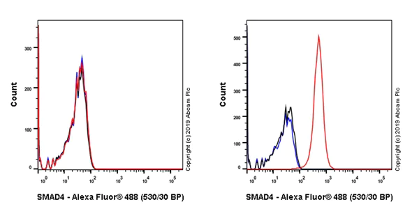 Flow Cytometry (Intracellular) - Anti-Smad4 antibody [EPR22589-112] - BSA and Azide free (AB254290)